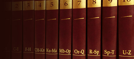 Реферат: Інтеграція України до ЄС. Шляхи і перспективи розвитку